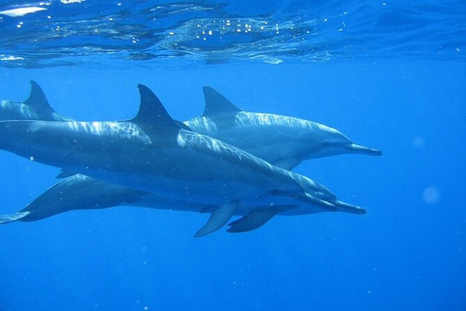 Ultimate Na Pali Coast Zodiac Boat Snorkeling and Sea Cave Tour - Why the Zodiac makes Na Pali feel close