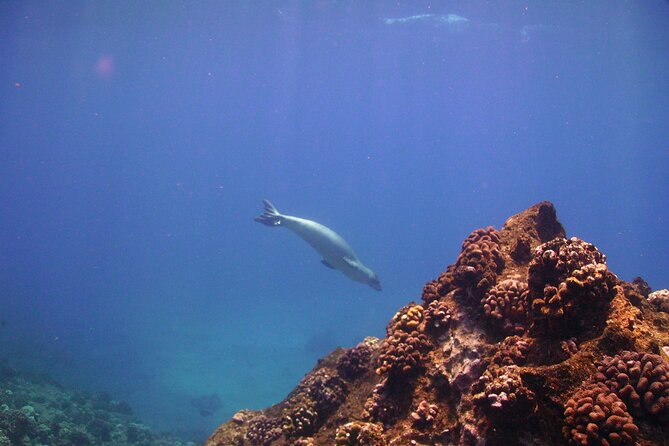 Ultimate Na Pali Coast Zodiac Boat Snorkeling and Sea Cave Tour - How the crew shapes the day