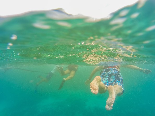 Viator Exclusive: Tulum Ruins, Reef Snorkeling, Cenote and Caves - Transport and group size