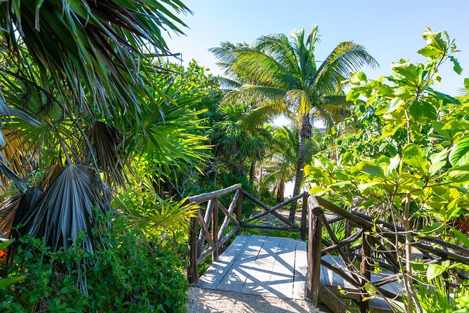 Viator Exclusive: Tulum Ruins, Reef Snorkeling, Cenote and Caves - Guides, safety, and the human touch
