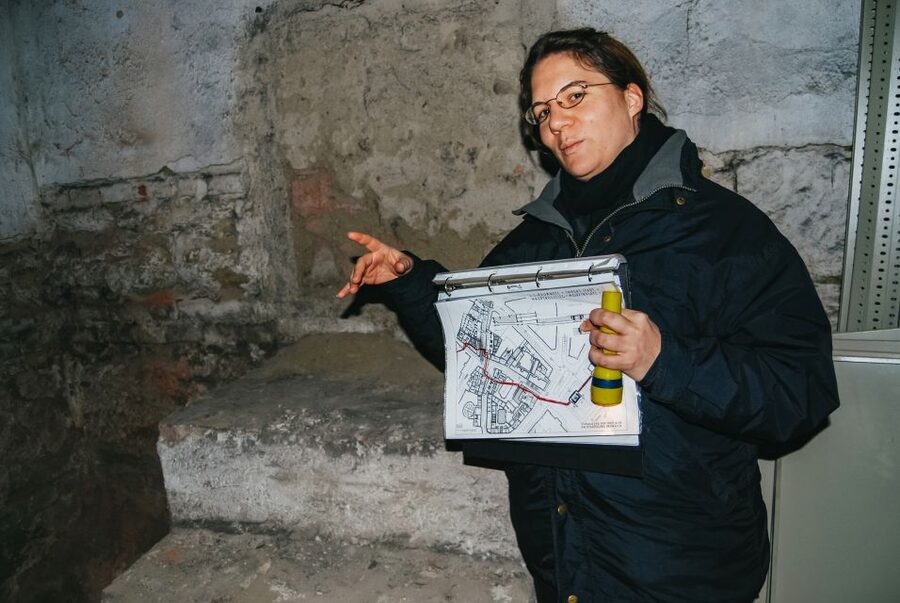 Vienna: 1.5-Hour Underground Walking Tour - Vienna’s past begins under Michaelerplatz