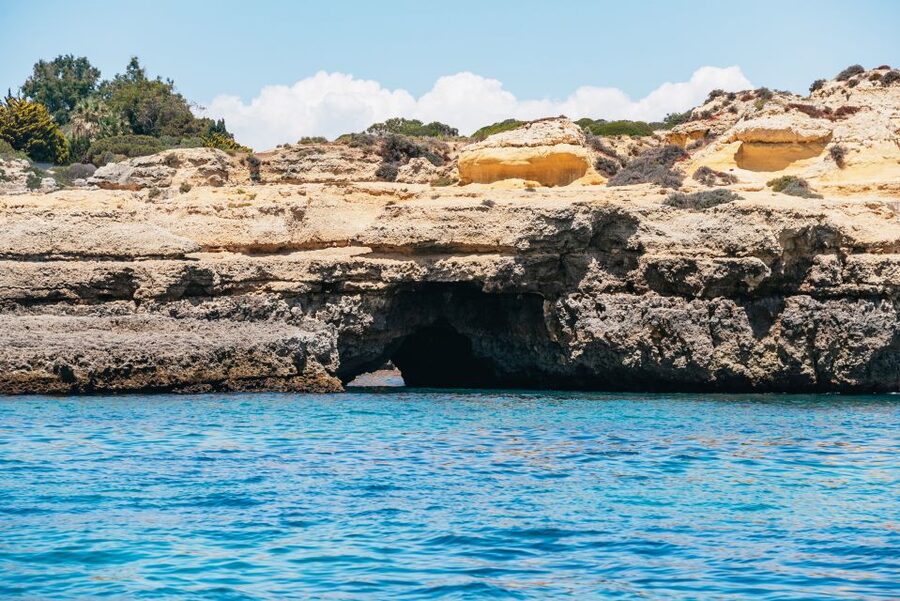 Vilamoura: Benagil Cave Boat Tour with Entry&Dolphin search - Is the $49 price good value?