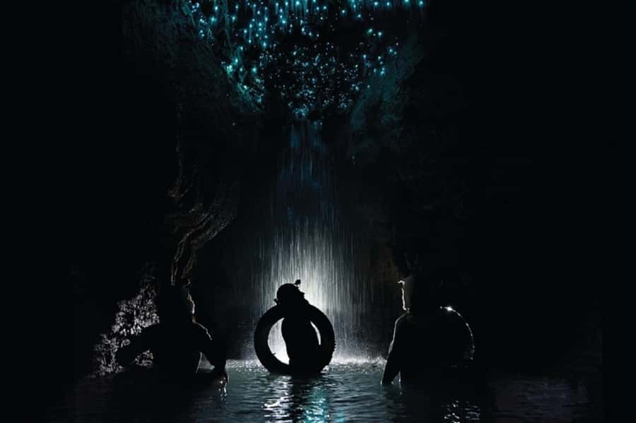 Waitomo Caves Black Abyss Ultimate Caving Experience - Glowworms from a flying fox and black water