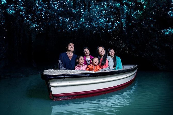 Waitomo Caves & Rotorua - Te Puia Small-Group Tour from Auckland - Who should book this Auckland day trip?