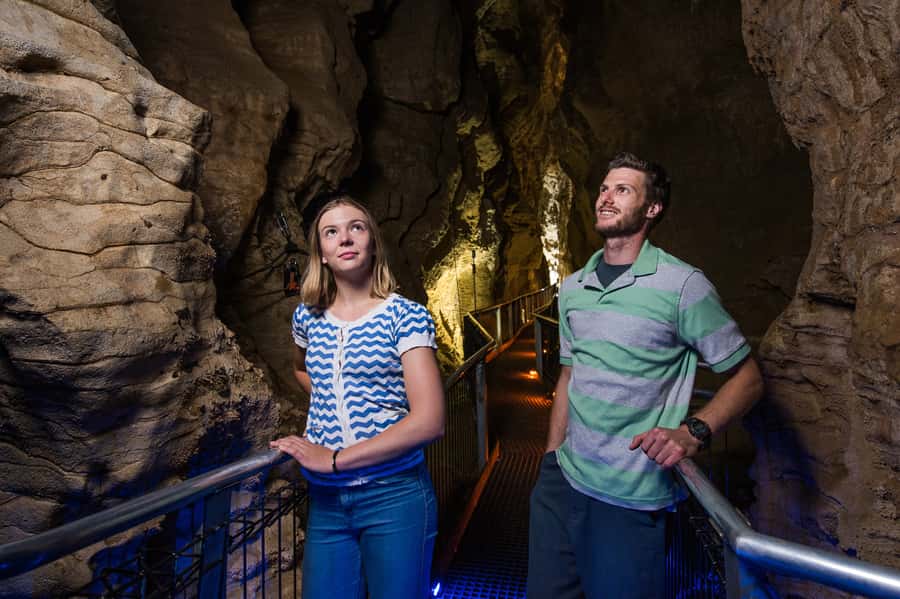 Waitomo Caves: Ruakuri Glowworm Cave Guided Walking Tour - Key points to know before you go