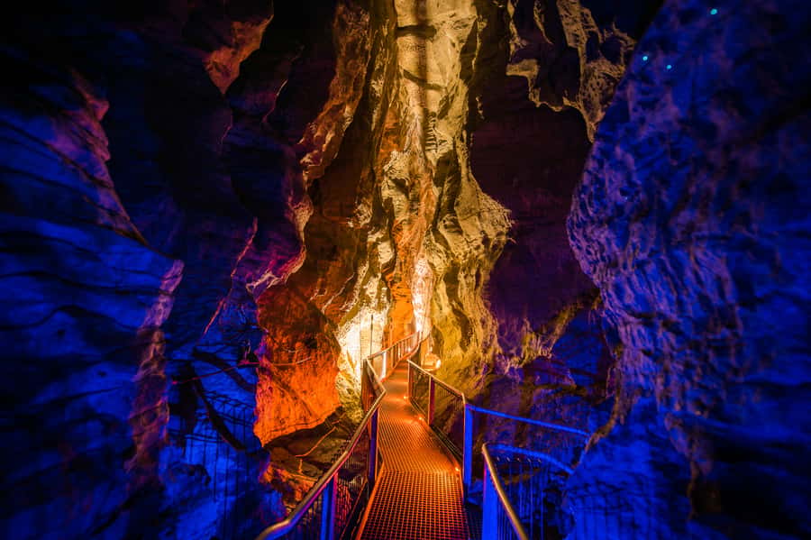 Waitomo Caves: Ruakuri Glowworm Cave Guided Walking Tour - Who will enjoy this cave walk most