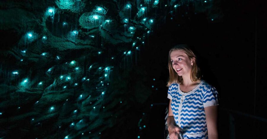 Waitomo Caves: Ruakuri Glowworm Cave Guided Walking Tour - The Ghost Passage and the guide’s role