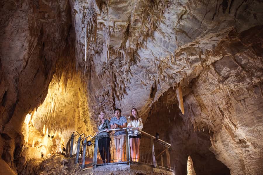 Waitomo Caves: Ruakuri Glowworm Cave Guided Walking Tour - How much time the $69 price buys you