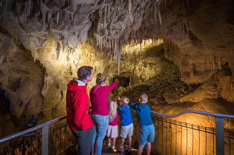 Waitomo Caves: Ruakuri Glowworm Cave Guided Walking Tour - Add the Ruakuri Bushwalk afterward