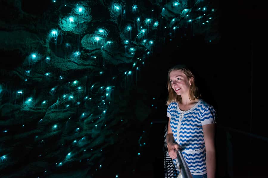 Waitomo Caves: Ruakuri Glowworm Cave Guided Walking Tour - The spiral entrance and the walk underground