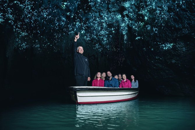 Waitomo Glowworm Caves Guided Tour - Why the Waitomo Glowworms Are Worth Seeing