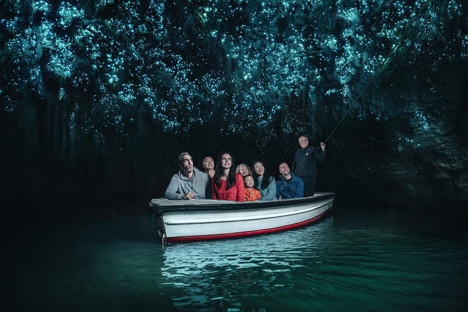 Waitomo Glowworm Caves Guided Tour - Starting at Waitomo Village Road