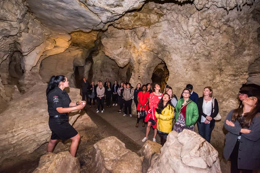 Waitomo: Glowworm Caves Guided Tour by Boat - A guided walk through ancient limestone