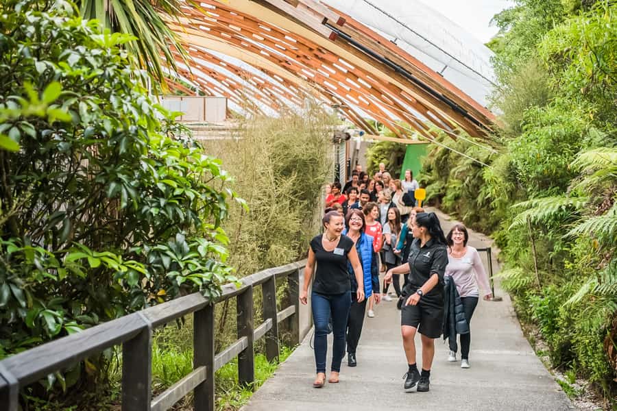 Waitomo: Glowworm Caves Guided Tour by Boat - Is $48 good value for one hour?