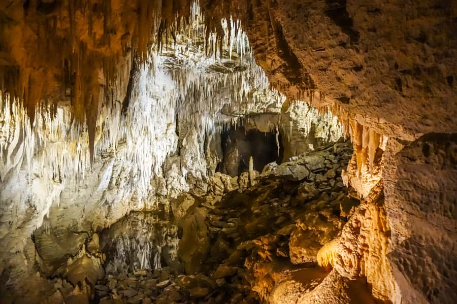 Waitomo: Glowworm Caves Guided Tour by Boat - What to wear and how difficult is it?