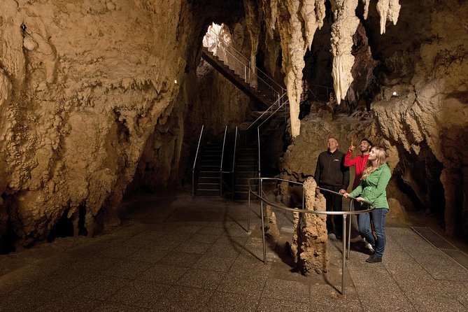 Waitomo Glowworm Caves Guided Tour - The Underground Boat and Glowworm Grotto