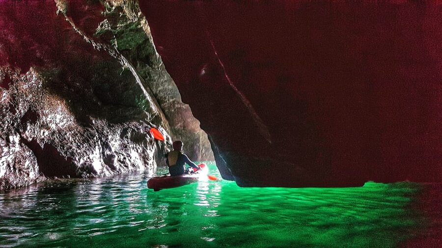 Wexford: Hook Peninsula Sea Cave Kayaking Experience - Wildlife on the water
