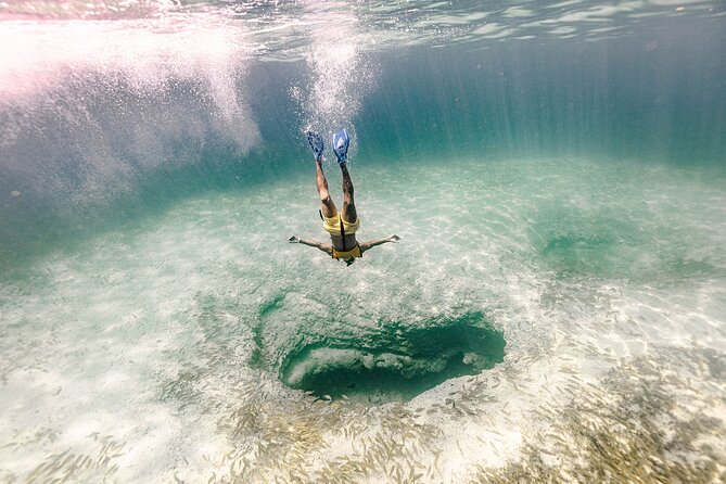 With Turtles, Shipwreck, Cenote, and Reef and Transport Included - Turtles and the marine life you may see