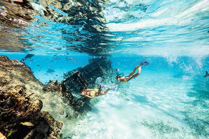 With Turtles, Shipwreck, Cenote, and Reef and Transport Included - Why the 10-person limit changes the experience