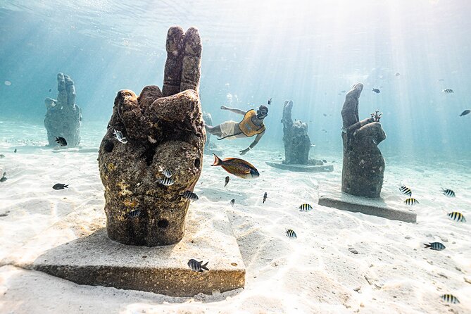 With Turtles, Shipwreck, Cenote, and Reef and Transport Included - What to bring and how to prepare