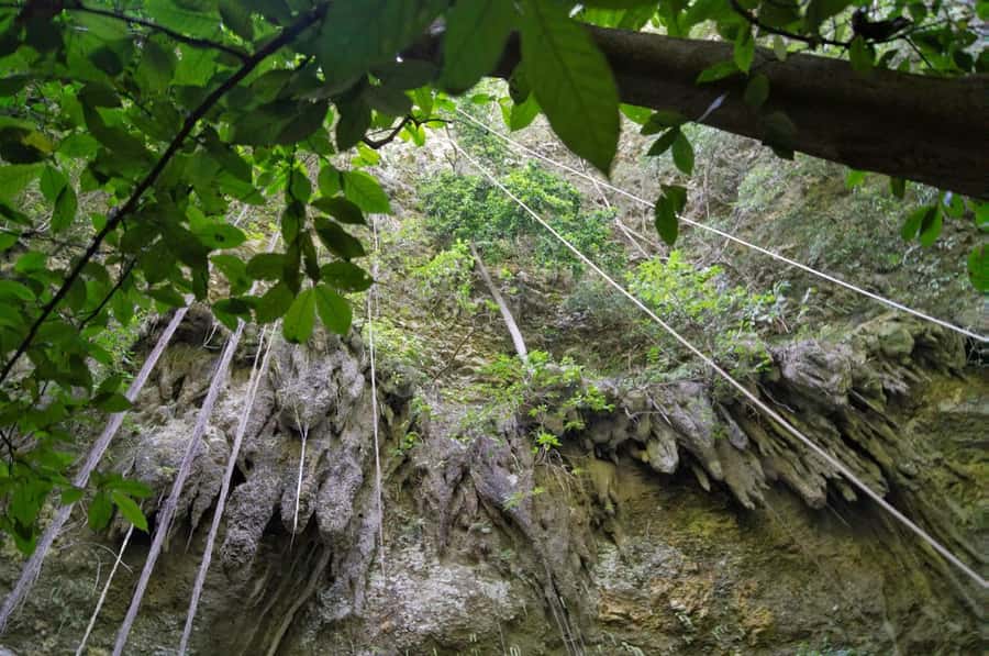 Yogyakarta: Jomblang Cave and Pindul Cave all inclusive Trip - Key points to know before you book