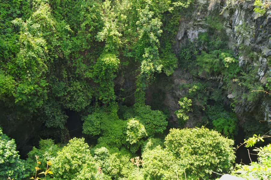 Yogyakarta: Jomblang Cave and Pindul Cave all inclusive Trip - Guides, drivers, and how the day is managed