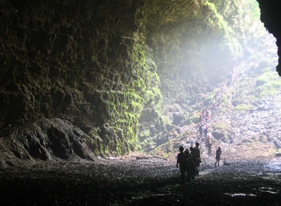 Yogyakarta: Jomblang & Pindul Cave Guided Adventure - Who should book this adventure