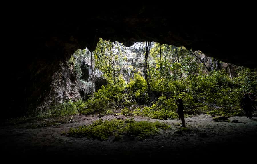 Yogyakarta: Jomblang & Pindul Cave Guided Adventure - What the $89 price includes