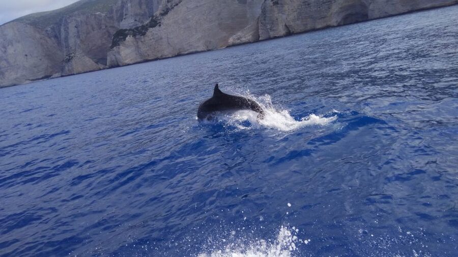 Zakynthos: early morning Shipwreck,Blue Caves and view point - Why the early start matters at Navagio