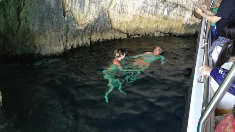 Zakynthos: Shipwreck Beach, Viewpoint, Blue Caves Day Tour - The ancient olive tree and local tastings