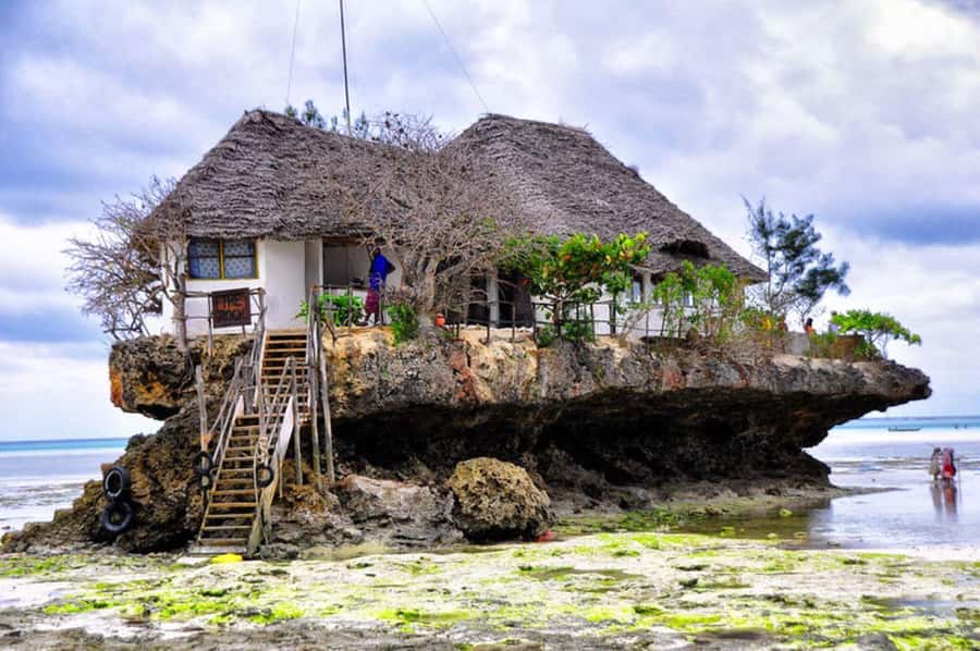 Zanzibar: Mnemba Island, Prison Island and Salaam Cave Tour - Key points to know before booking