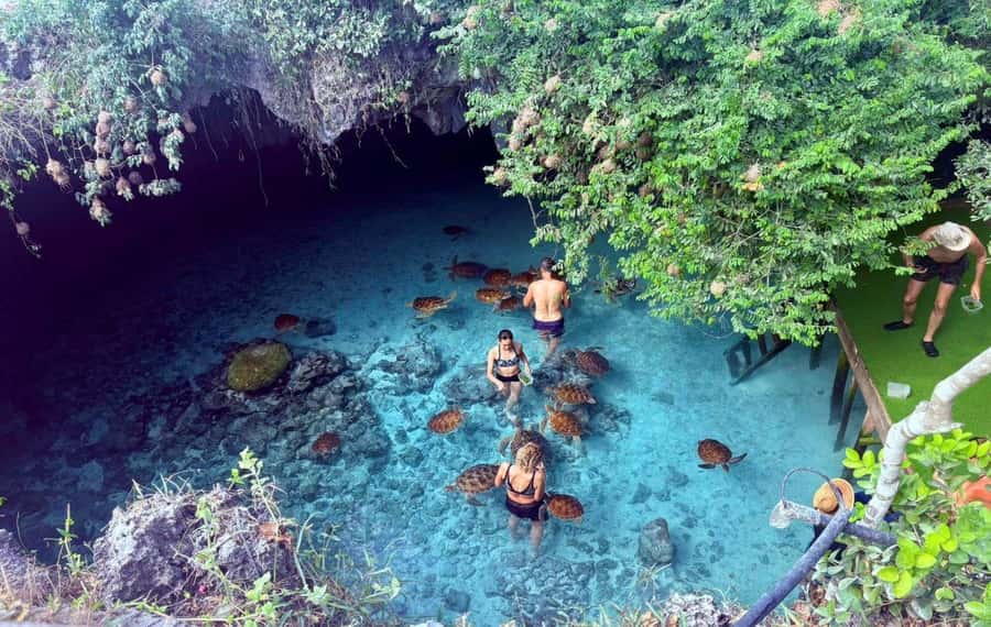 Zanzibar: Mnemba Island, Prison Island and Salaam Cave Tour - Salaam Cave and the sea turtles near Kizimkazi
