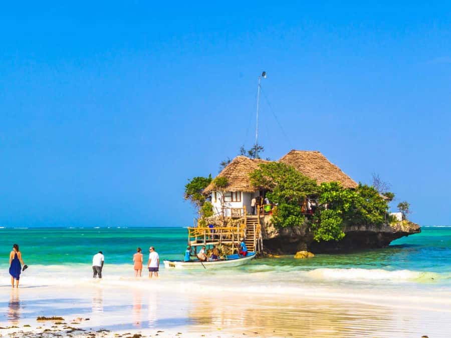 Zanzibar: Mnemba Island, Prison Island and Salaam Cave Tour - Who will enjoy this tour most?